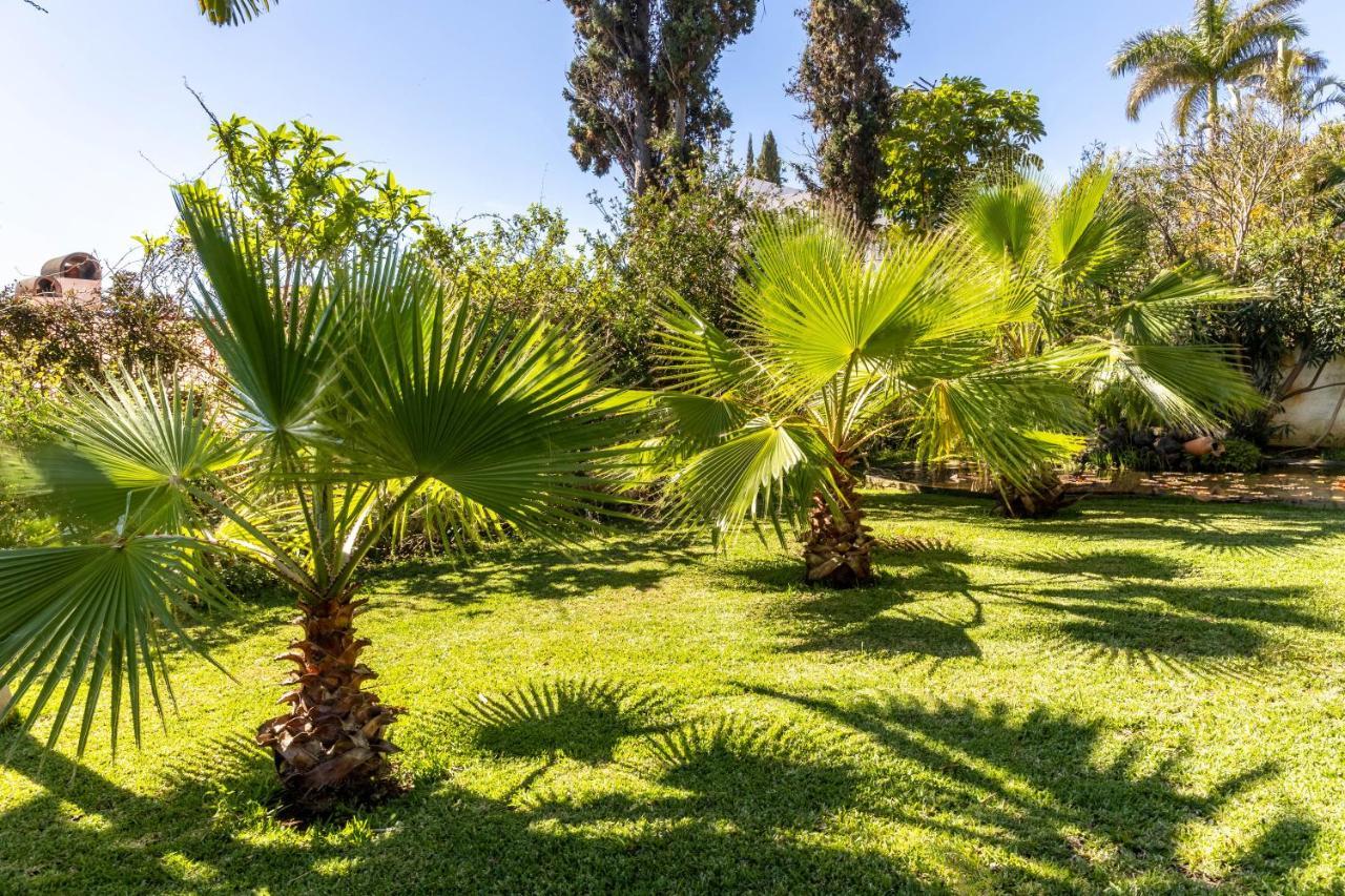Villa Echium T1 Caniço Eksteriør billede