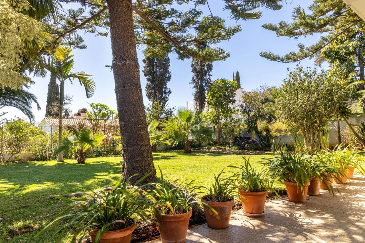 Villa Echium T1 Caniço Eksteriør billede